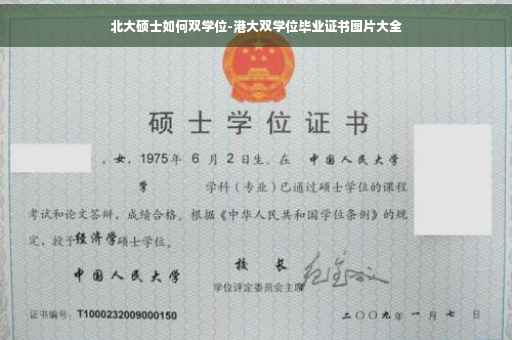 北大硕士如何双学位-港大双学位毕业证书图片大全