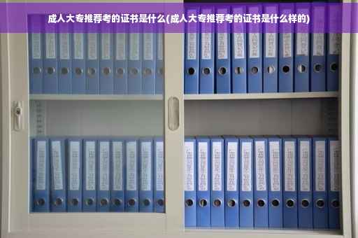 成人大专推荐考的证书是什么(成人大专推荐考的证书是什么样的)