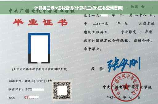 计算机三级b证书查询(计算机三级b证书查询官网)