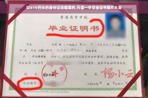 以610开头的身份证是哪里的,元谋一中毕业证书图片大全