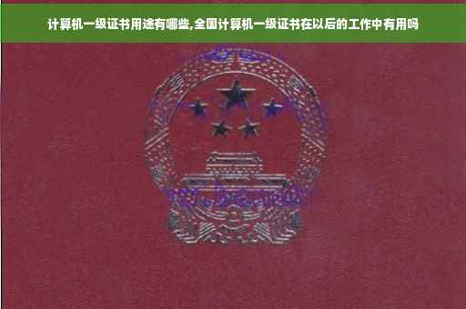 计算机一级证书用途有哪些,全国计算机一级证书在以后的工作中有用吗
