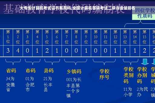 大专生计算机考试证书有用吗,全国计算机等级考试二级含金量排名