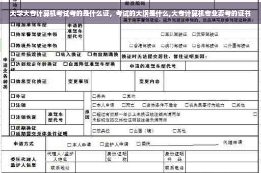 大学大专计算机考试考的是什么证，考试的大纲是什么,大专计算机专业要考的证书