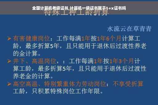 全国计算机考级证书,计算机一级证书属于1+x证书吗