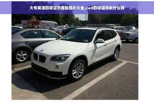 大专英语四级证书模板图片大全,cad四级证书长什么样