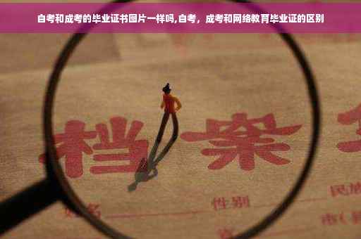自考和成考的毕业证书图片一样吗,自考，成考和网络教育毕业证的区别