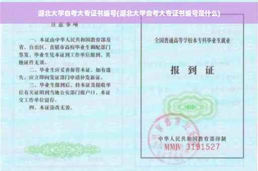 湖北大学自考大专证书编号(湖北大学自考大专证书编号是什么) 湖北大学自考大专证书编号(湖北大学自考大专证书编号是什么)