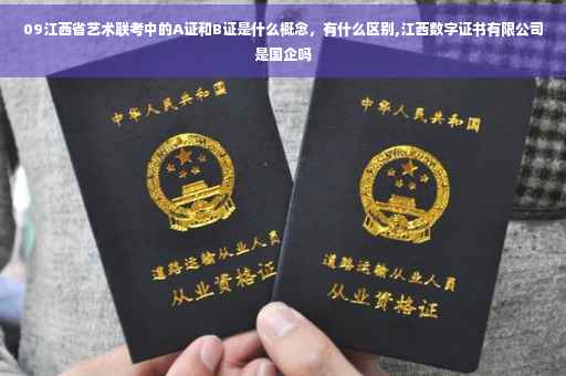 09江西省艺术联考中的A证和B证是什么概念，有什么区别,江西数字证书有限公司是国企吗