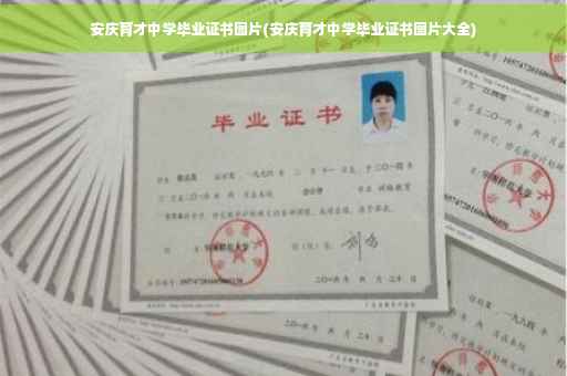安庆育才中学毕业证书图片(安庆育才中学毕业证书图片大全)