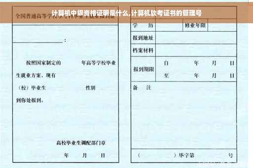 计算机中级资格证明是什么,计算机软考证书的管理号