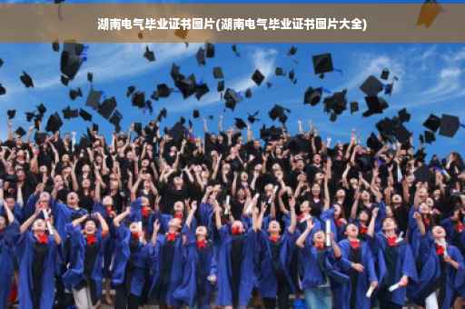 湖南电气毕业证书图片(湖南电气毕业证书图片大全)