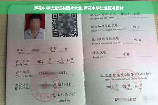 芦花中学毕业证书图片大全,芦花中学毕业证书图片