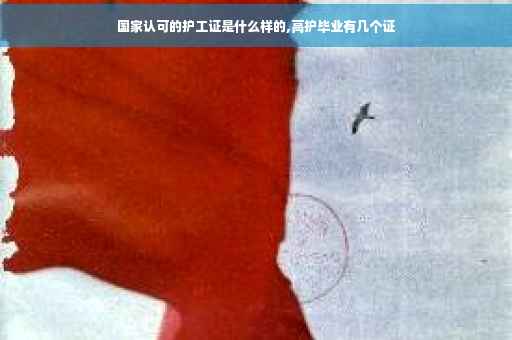 国家认可的护工证是什么样的,高护毕业有几个证