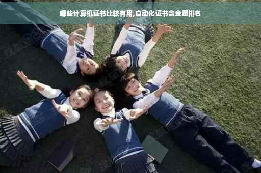 哪些计算机证书比较有用,自动化证书含金量排名