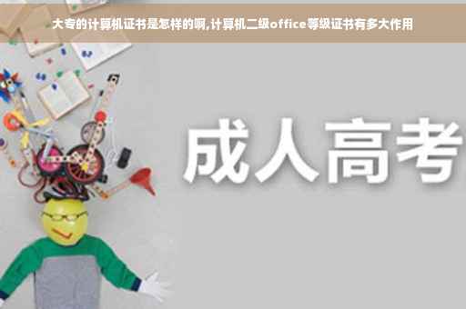 大专的计算机证书是怎样的啊,计算机二级office等级证书有多大作用