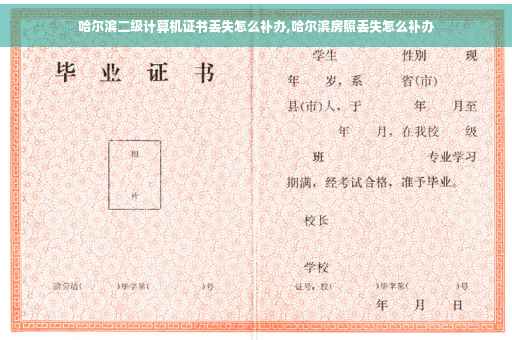 哈尔滨二级计算机证书丢失怎么补办,哈尔滨房照丢失怎么补办