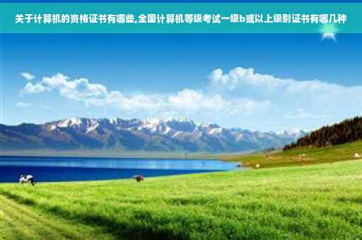 关于计算机的资格证书有哪些,全国计算机等级考试一级b或以上级别证书有哪几种