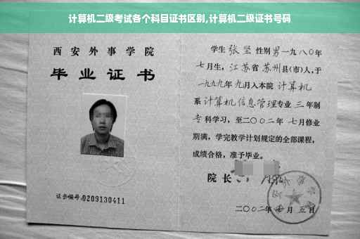 计算机二级考试各个科目证书区别,计算机二级证书号码