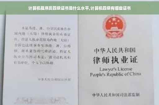计算机程序员四级证书是什么水平,计算机四级有哪些证书
