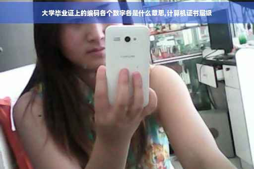 大学毕业证上的编码各个数字各是什么意思,计算机证书层级