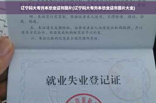辽宁科大专升本毕业证书图片(辽宁科大专升本毕业证书图片大全)