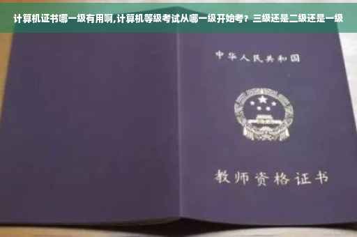 计算机证书哪一级有用啊,计算机等级考试从哪一级开始考？三级还是二级还是一级