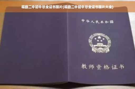 福鼎二中初中毕业证书图片(福鼎二中初中毕业证书图片大全)