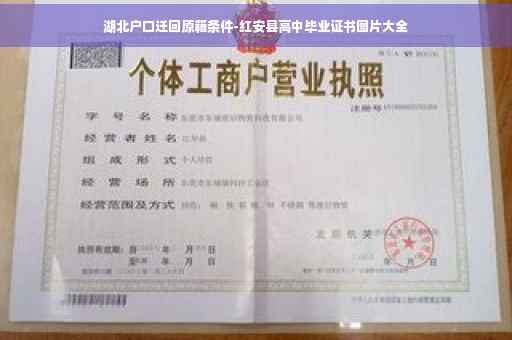 湖北户口迁回原籍条件-红安县高中毕业证书图片大全