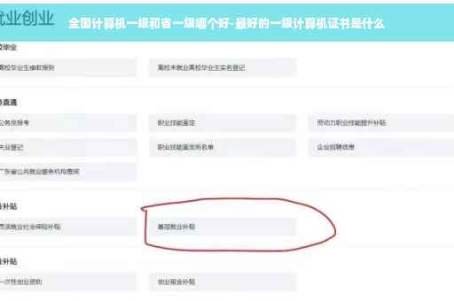 全国计算机一级和省一级哪个好-最好的一级计算机证书是什么