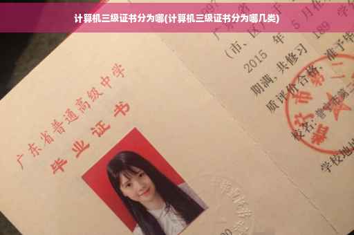 计算机三级证书分为哪(计算机三级证书分为哪几类)