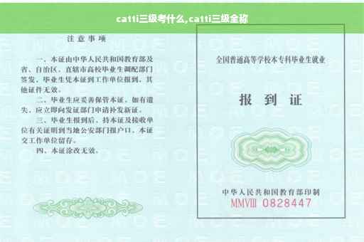 catti三级考什么,catti三级全称
