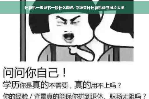 计算机一级证书一般什么颜色-中级会计计算机证书图片大全