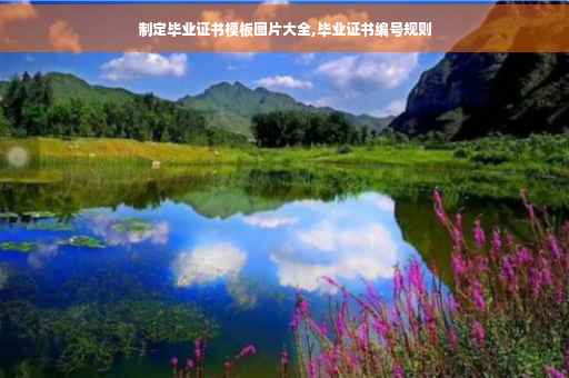 制定毕业证书模板图片大全,毕业证书编号规则