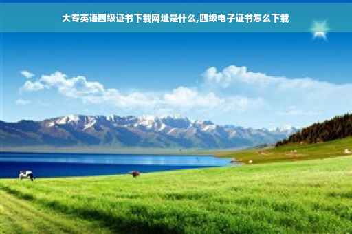 大专英语四级证书下载网址是什么,四级电子证书怎么下载