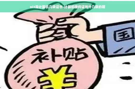 nlt是计算机几级证书-计算机硬件证书分几级的啊