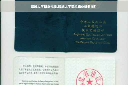 聊城大学毕业礼物,聊城大学专科毕业证书图片