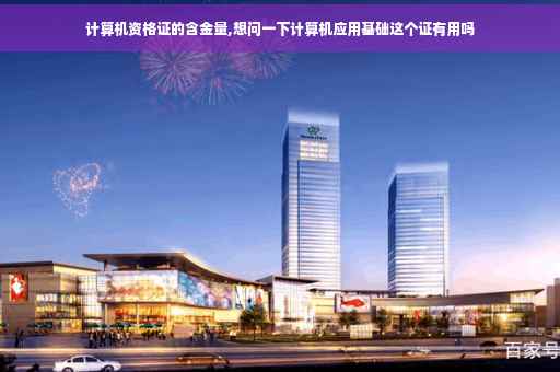 计算机资格证的含金量,想问一下计算机应用基础这个证有用吗