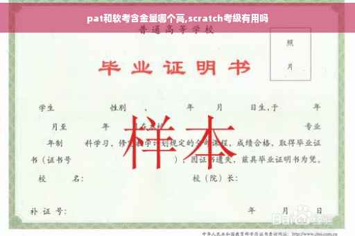 pat和软考含金量哪个高,scratch考级有用吗