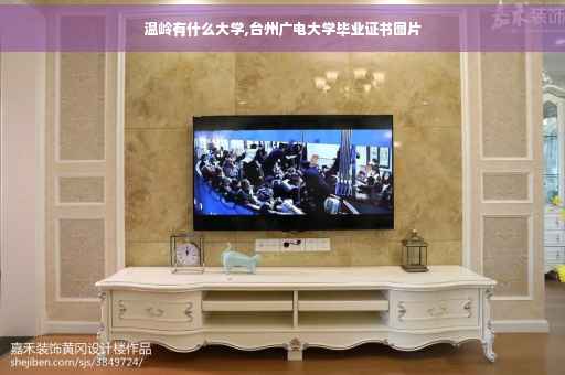 温岭有什么大学,台州广电大学毕业证书图片