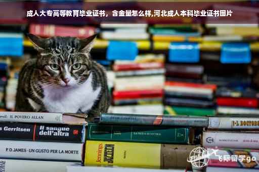 成人大专高等教育毕业证书，含金量怎么样,河北成人本科毕业证书图片
