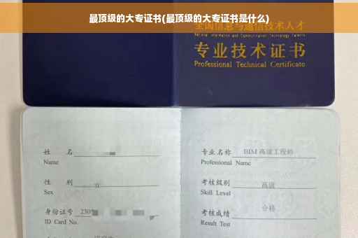 最顶级的大专证书(最顶级的大专证书是什么)