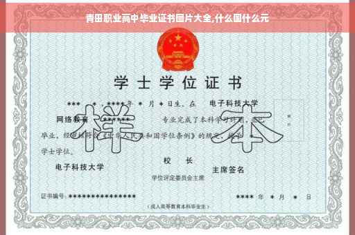 青田职业高中毕业证书图片大全,什么国什么元 青田职业高中毕业证书图片大全,什么国什么元