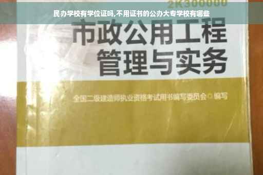 民办学校有学位证吗,不用证书的公办大专学校有哪些