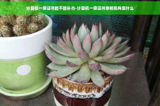 计算机一级证书能不能补办-计算机一级证书审核机构是什么