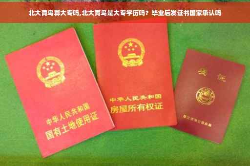 北大青鸟算大专吗,北大青鸟是大专学历吗？毕业后发证书国家承认吗