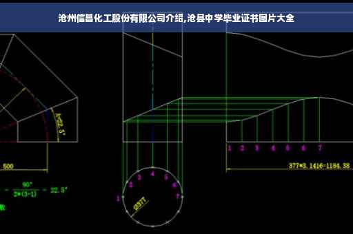 沧州信昌化工股份有限公司介绍,沧县中学毕业证书图片大全