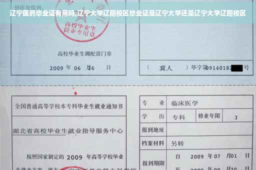 辽宁医药毕业证有用吗,辽宁大学辽阳校区毕业证是辽宁大学还是辽宁大学辽阳校区