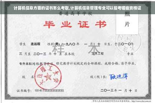 计算机信息方面的证书怎么考取,计算机信息管理专业可以报考哪些资格证