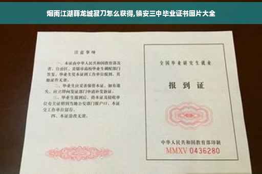 烟雨江湖薛龙城寂刀怎么获得,镇安三中毕业证书图片大全