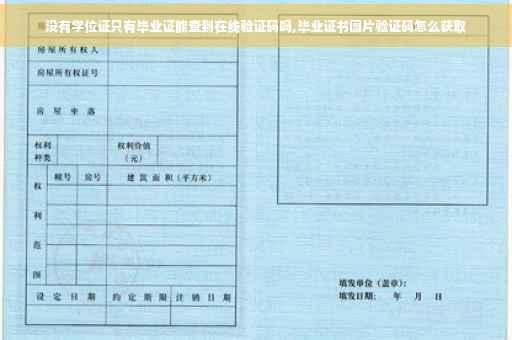 没有学位证只有毕业证能查到在线验证码吗,毕业证书图片验证码怎么获取